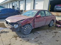 2004 Nissan Sentra 1.8 for sale in Louisville, KY