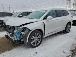 Cadillac salvage cars for sale: 2023 Cadillac XT6 Premium Luxury