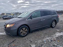 2015 Honda Odyssey ex for sale in Louisville, KY