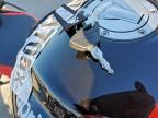 2026 Aprilia RS 660 Factory