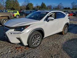 2019 Lexus Nx 300h for sale in Madisonville, TN