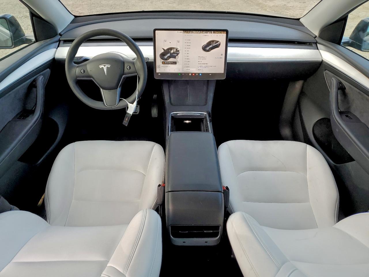 2025 Tesla Model y