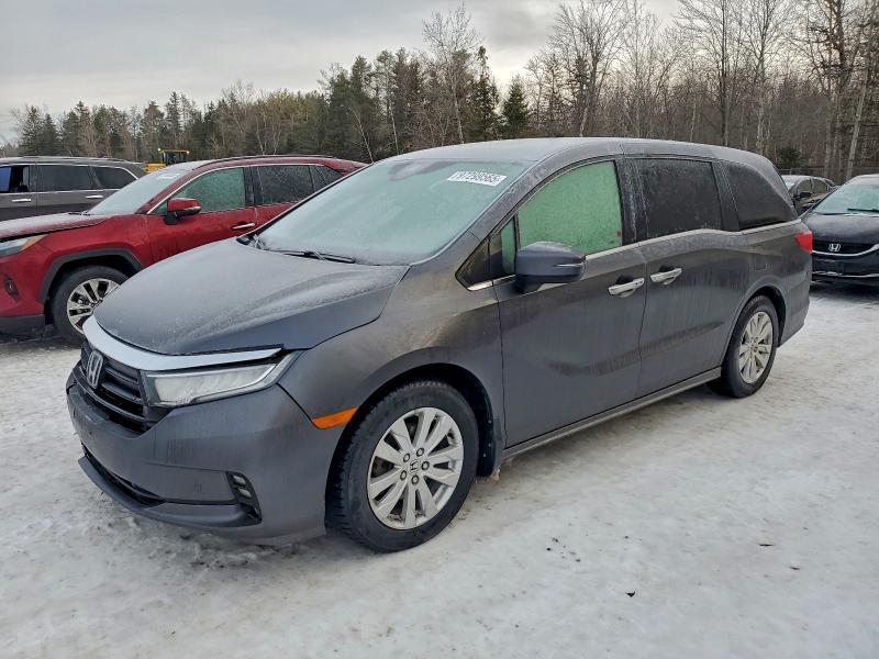 2023 Honda Odyssey Touring
