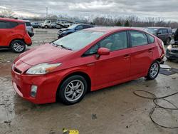 2010 Toyota Prius en venta en Louisville, KY