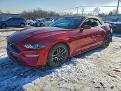 Ford Mustang salvage cars for sale: 2023 Ford Mustang