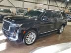 2024 Cadillac Escalade esv Luxury