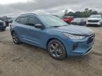 2024 Ford Escape st Line