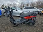 2024 Znen Hound