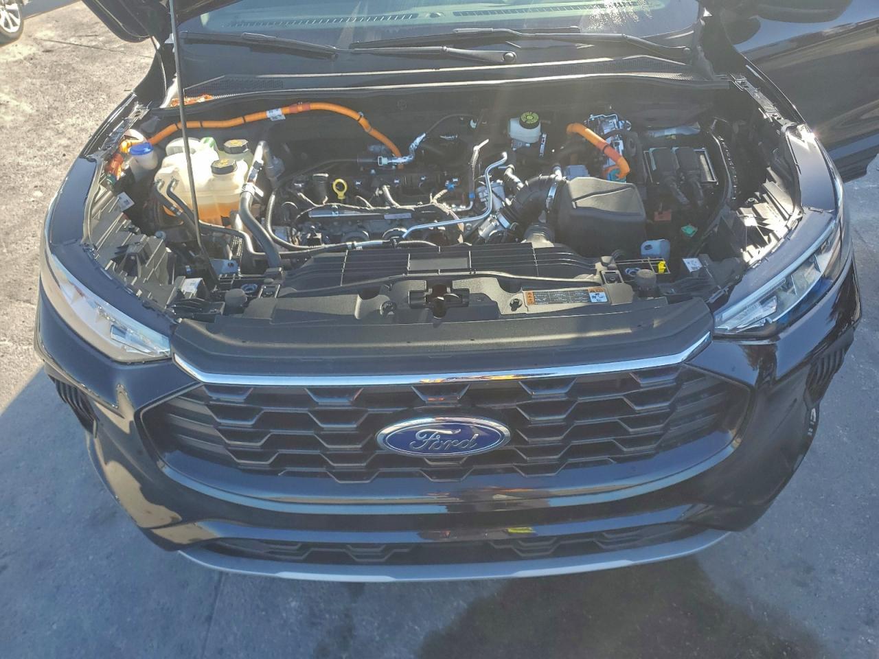 2024 Ford Escape st Line