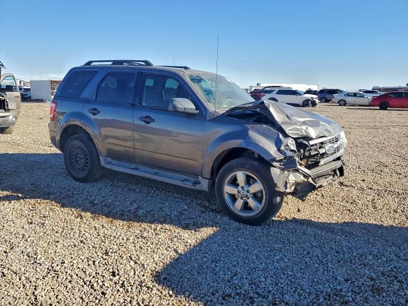 2010 Ford Escape xlt