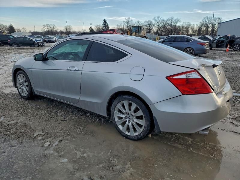 2010 Honda Accord exl