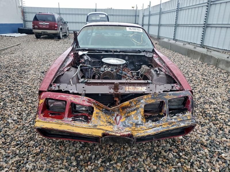 1981 Pontiac Firebird Trans am