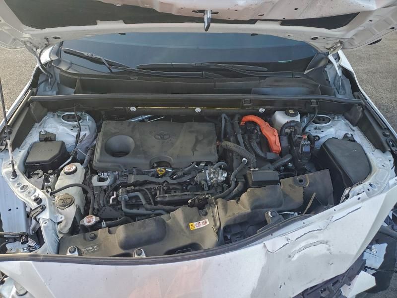 2024 Toyota Venza le