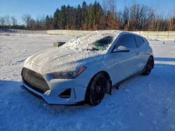 Hyundai salvage cars for sale: 2020 Hyundai Veloster Turbo