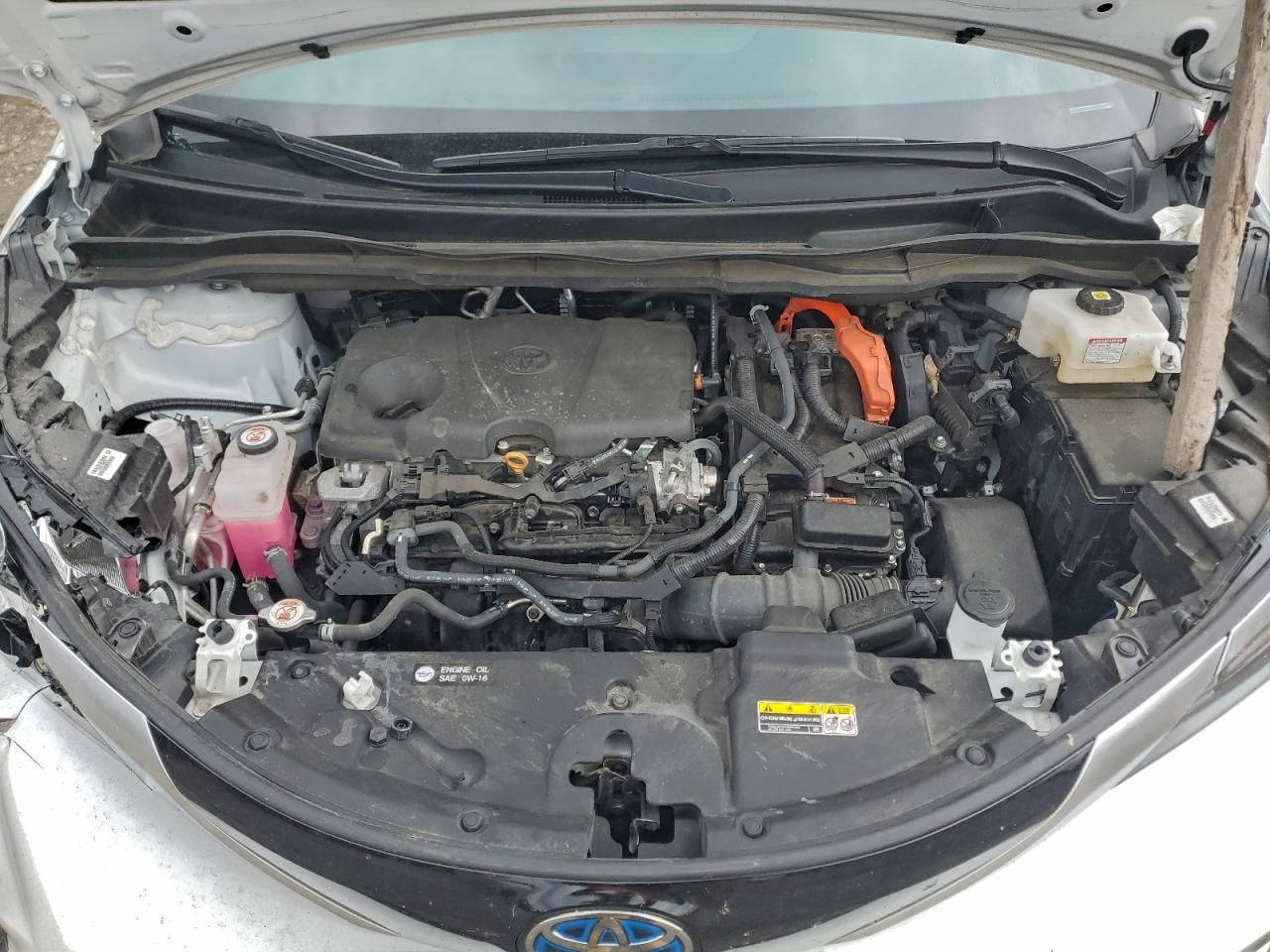 2024 Toyota Sienna xse