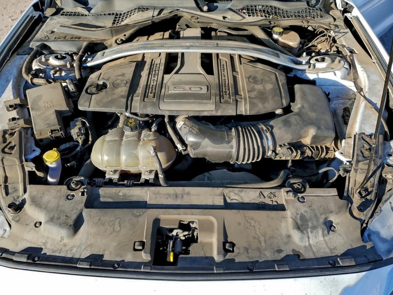 2019 Ford Mustang gt