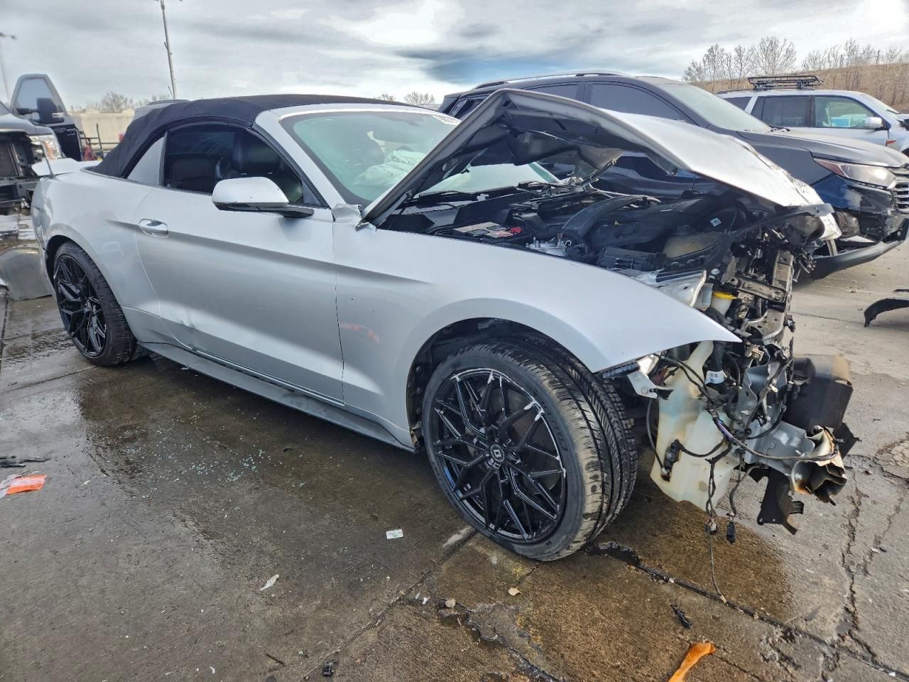 2019 Ford Mustang gt