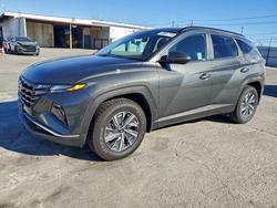 Hyundai salvage cars for sale: 2023 Hyundai Tucson Blue