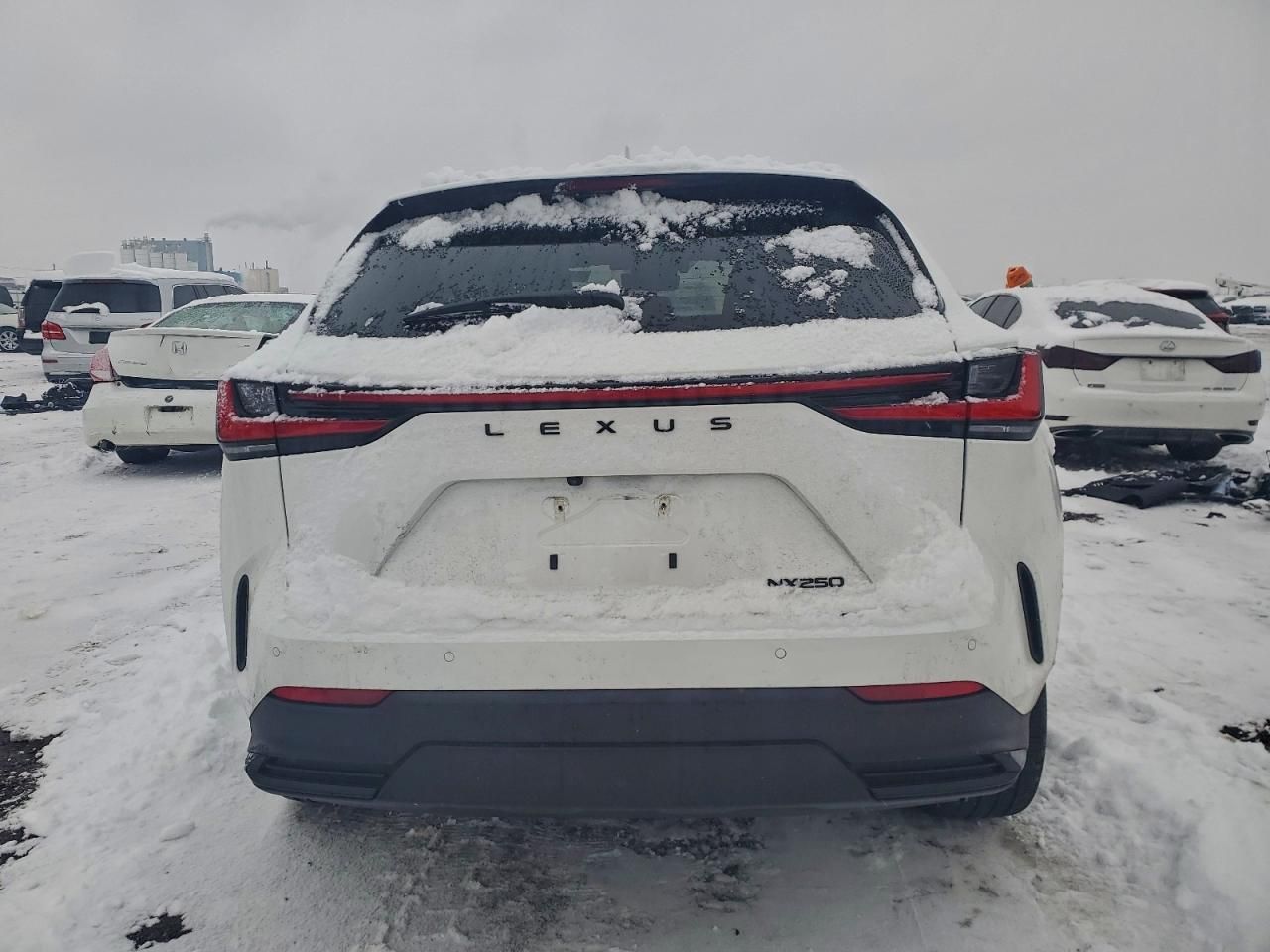 2024 Lexus Nx 250 Premium