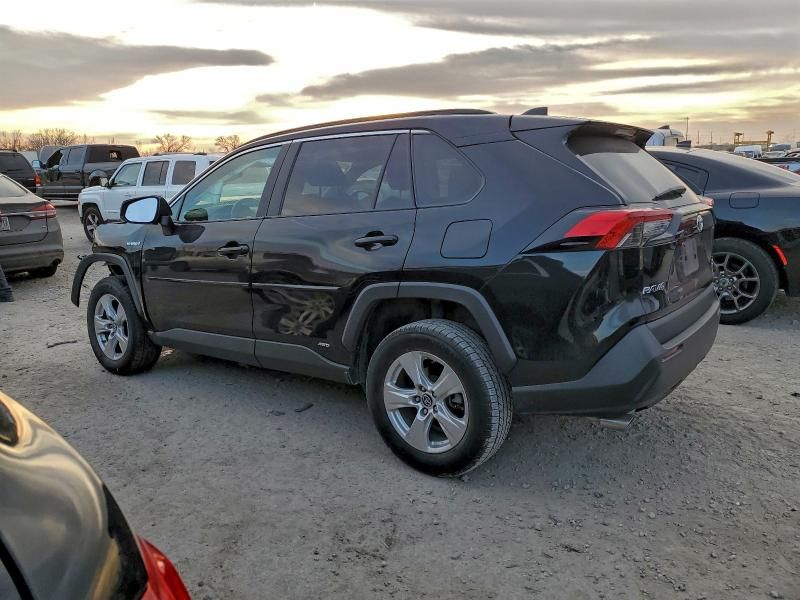 2019 Toyota Rav4 xle
