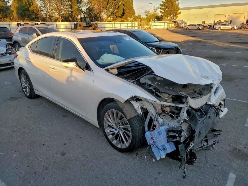 2019 Lexus Es 300h