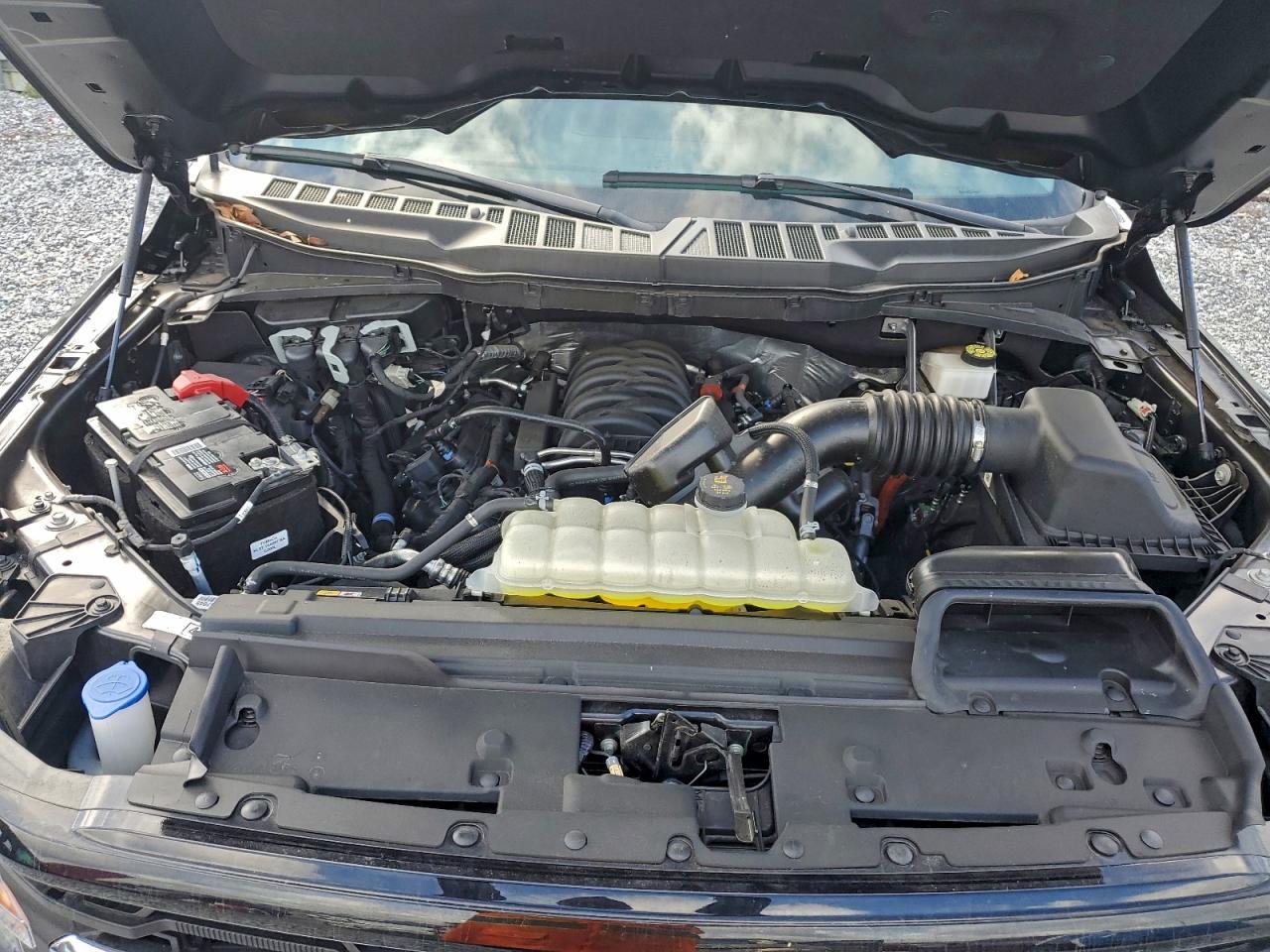 2024 Ford F150 xlt
