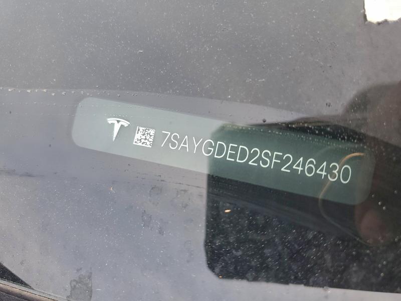 2025 Tesla Model y