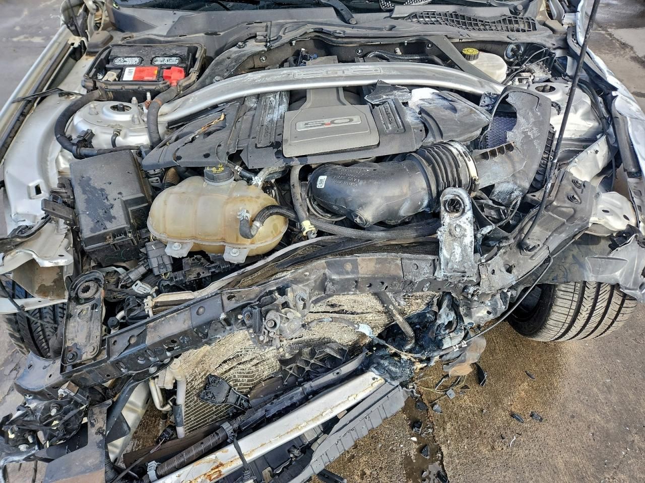 2019 Ford Mustang gt