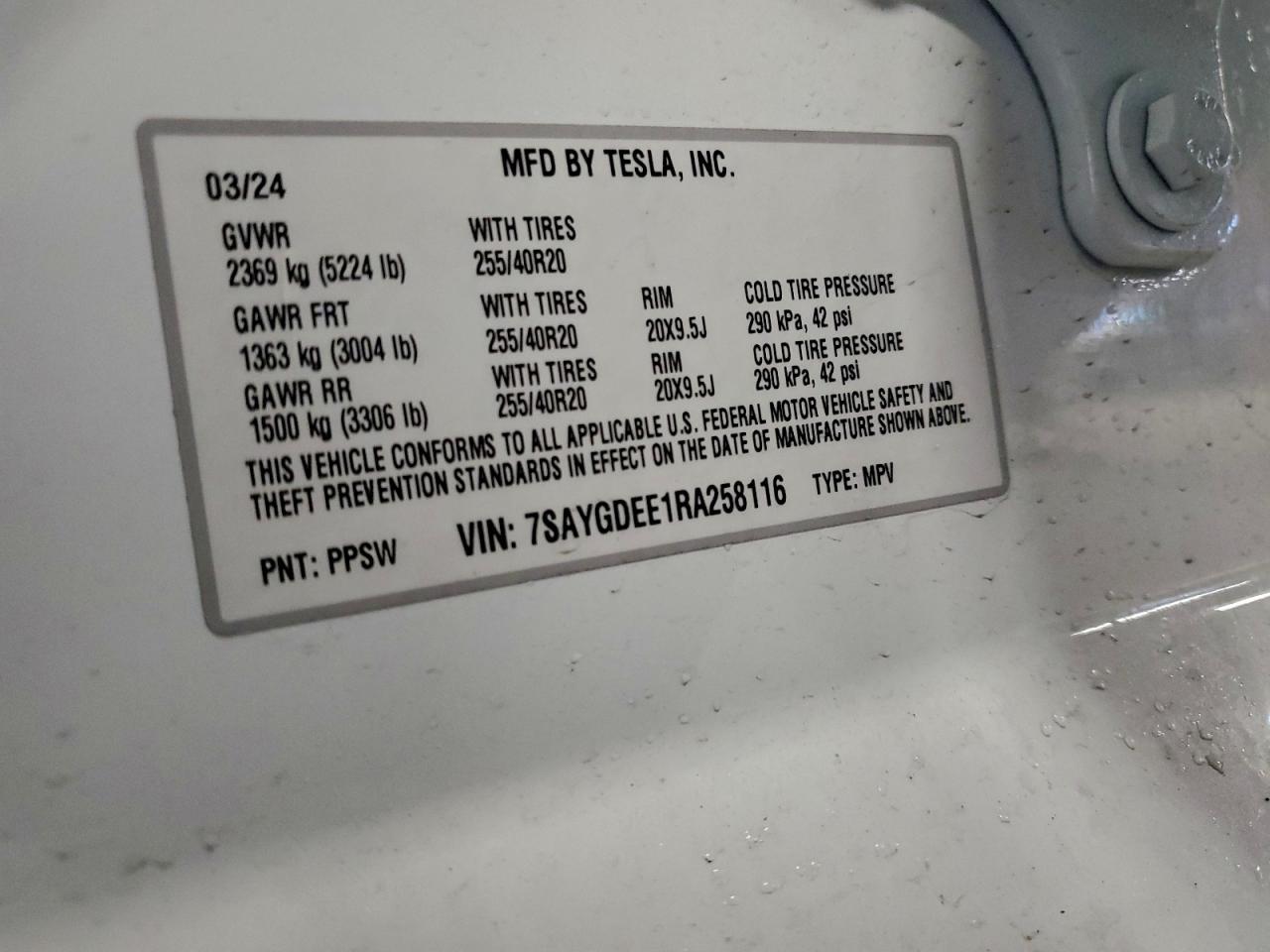 2024 Tesla Model y