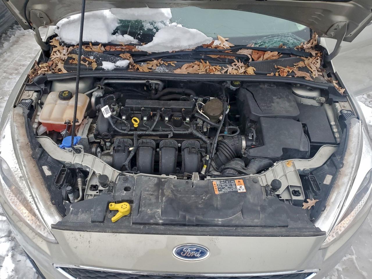 2015 Ford Focus se