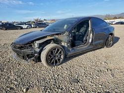 2023 Tesla Model 3 en venta en San Martin, CA