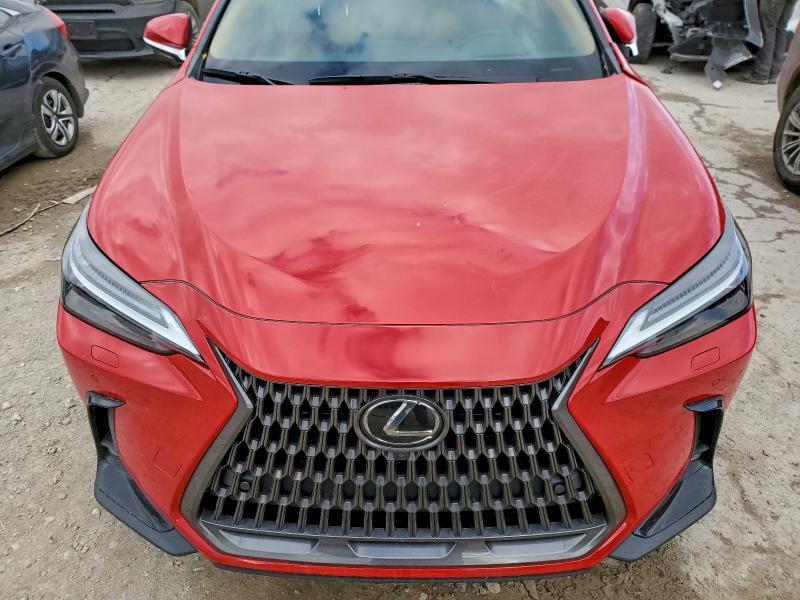 2024 Lexus Nx 350h Base