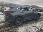 2024 Lexus Nx 350 Base