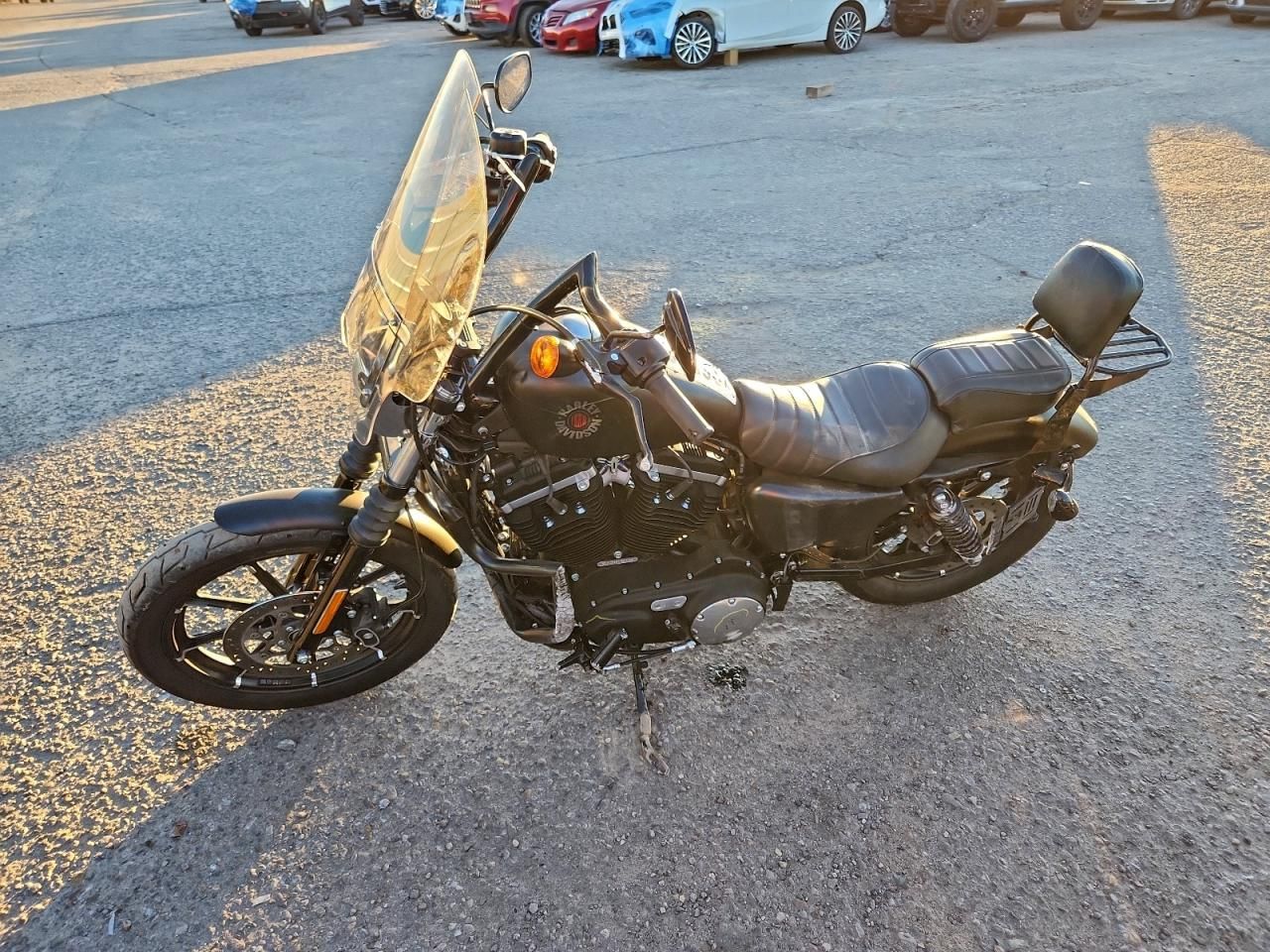 2022 Harley-Davidson XL883 N