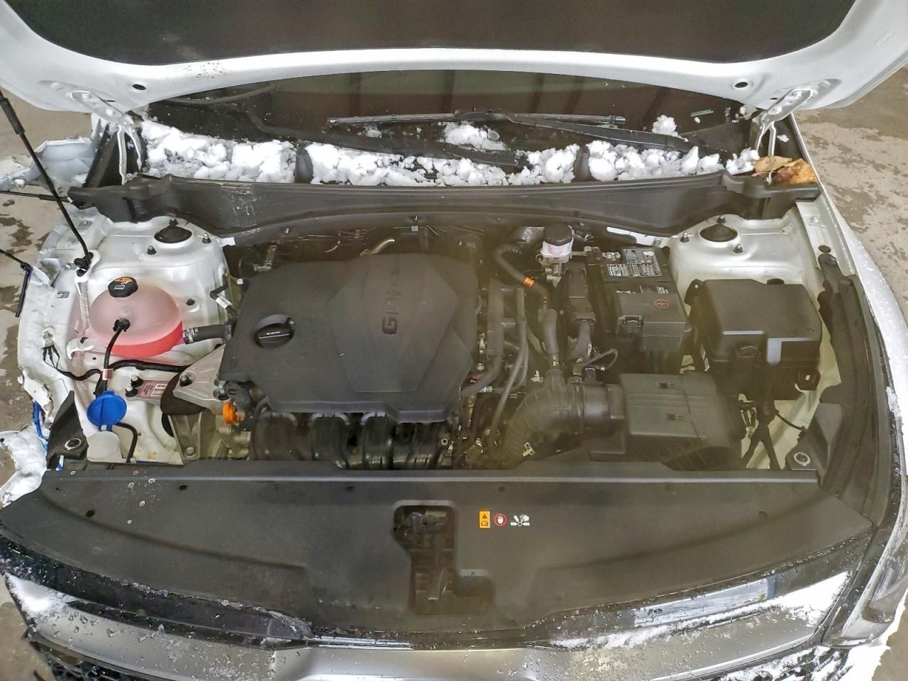 2023 KIA Sportage X-pro