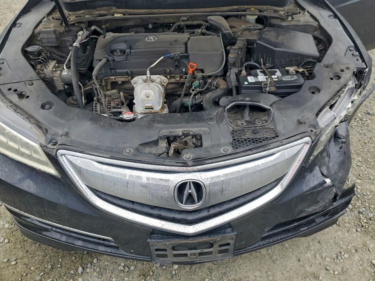 2015 Acura Tlx Tech