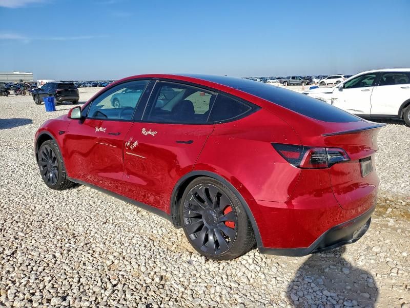 2023 Tesla Model y