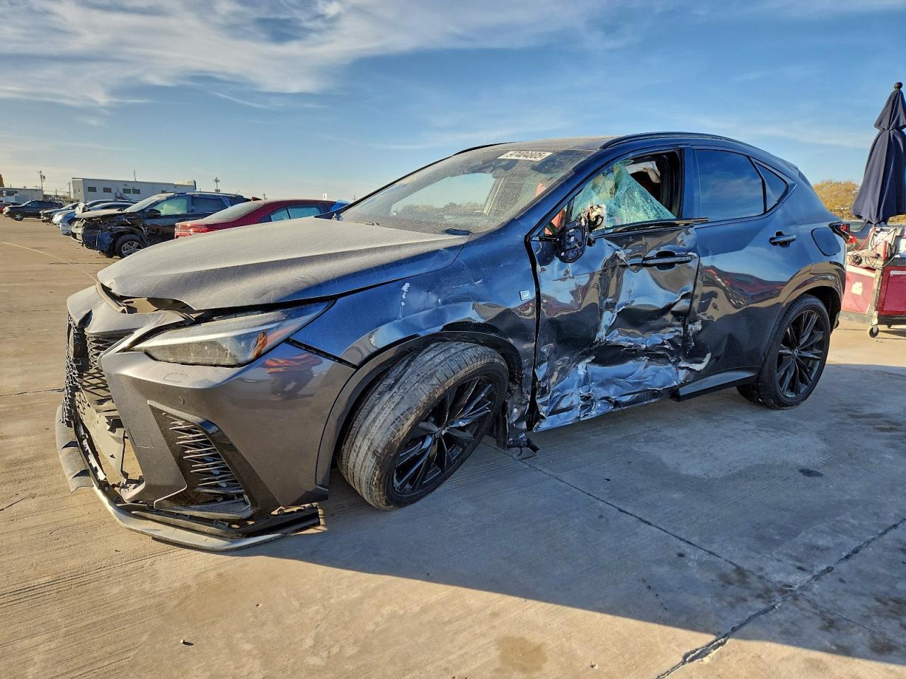 2024 Lexus Nx 450h Luxury