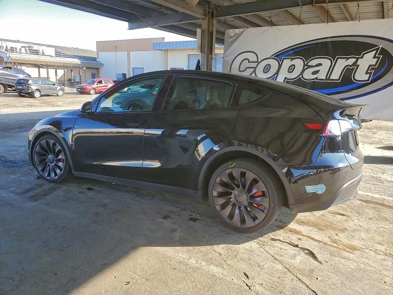 2025 Tesla Model y