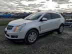 2010 Cadillac Srx Luxury Collection