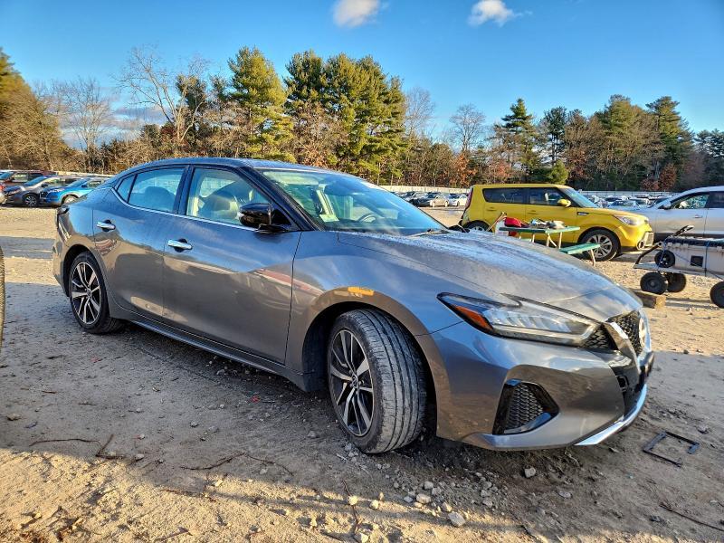 2023 Nissan Maxima sv