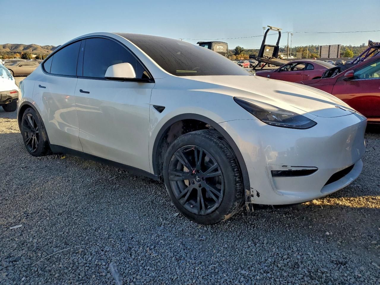 2024 Tesla Model y