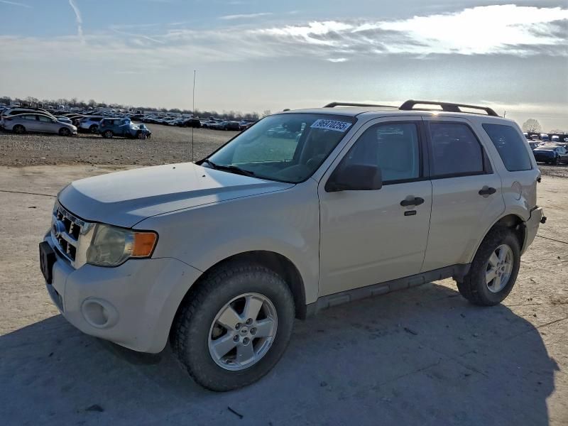 2009 Ford Escape xlt
