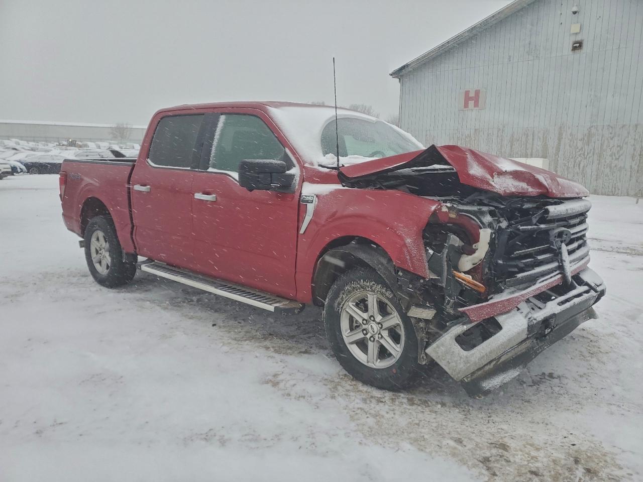 2024 Ford F150 xlt