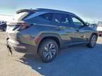 2023 Hyundai Tucson Blue