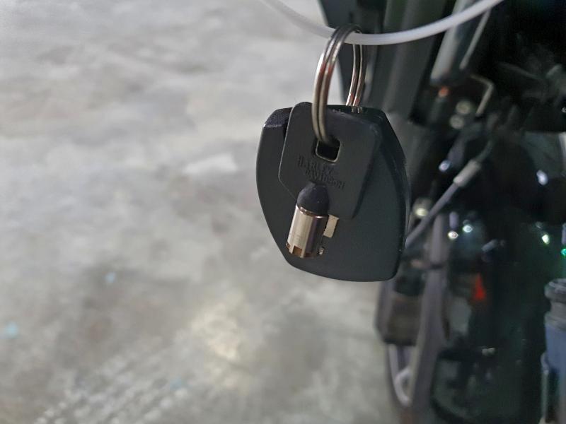 2025 Harley-Davidson Flhx