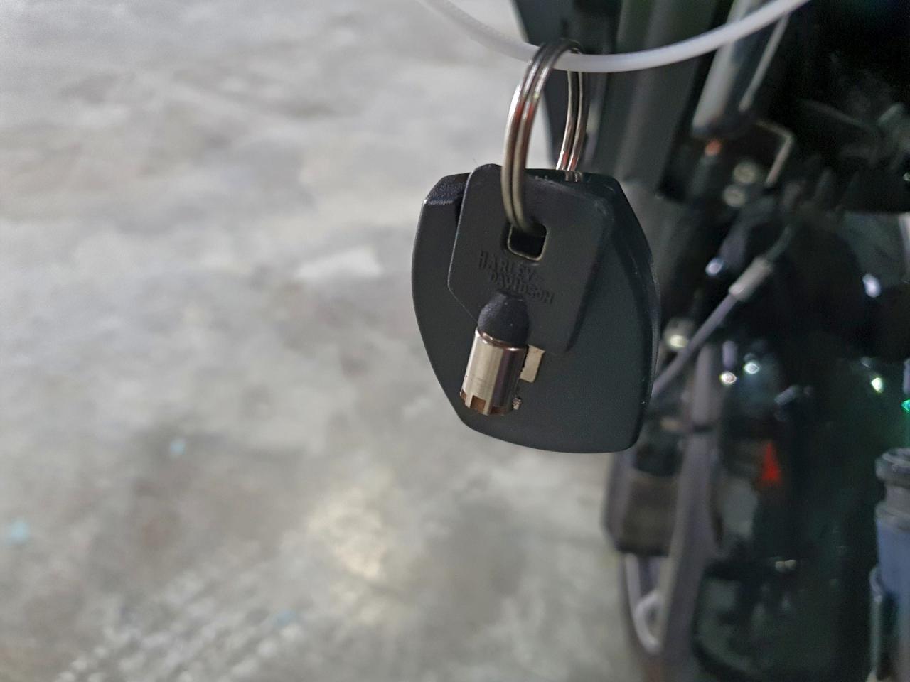 2025 Harley-Davidson Flhx