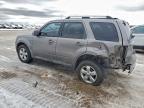 2010 Ford Escape Limited