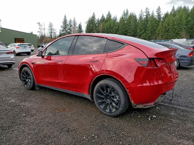 2021 Tesla Model y
