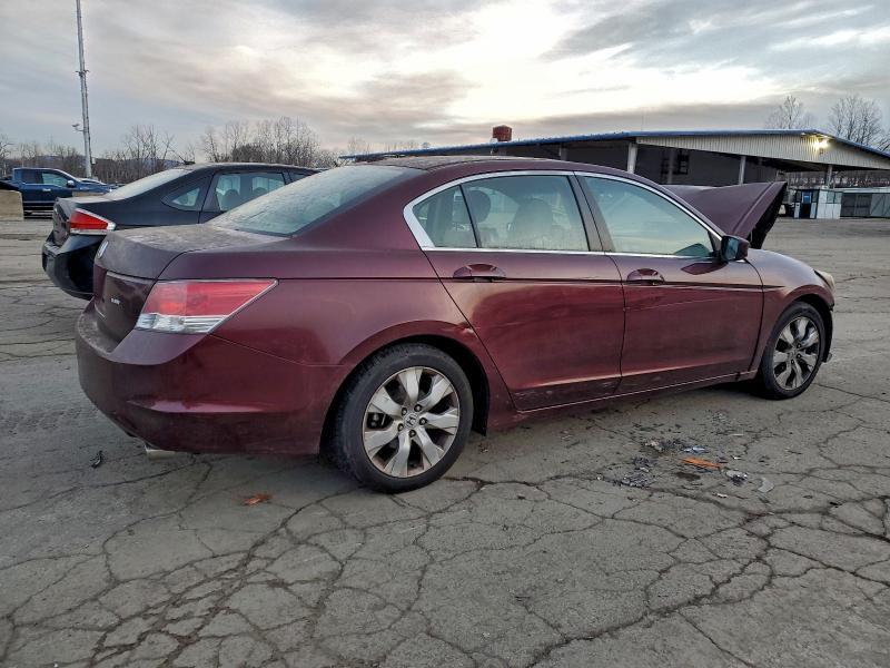 2010 Honda Accord exl
